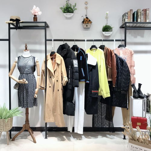 大碼女裝新時尚，批發商機盡顯優雅與舒適